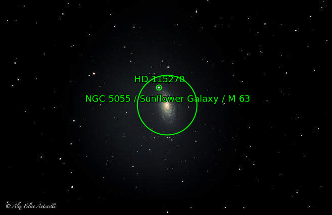 M63annotata